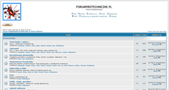 Desktop Screenshot of forumpirotechniczne.pl